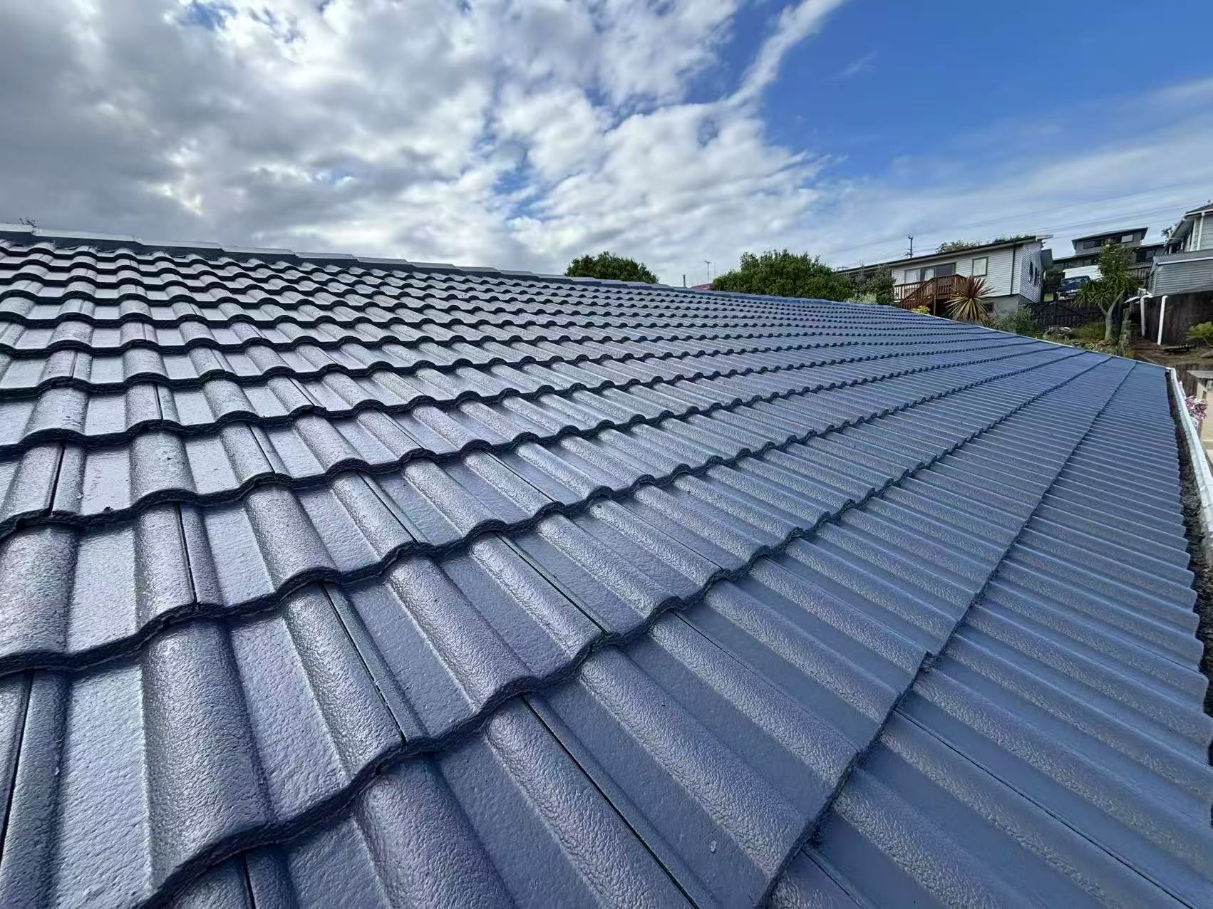 Roof Painting Work
